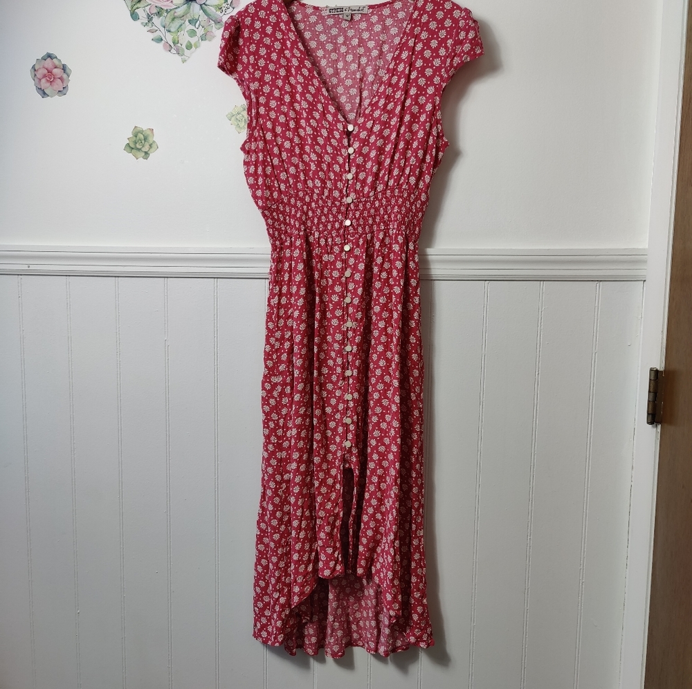 Gypsies and Moondust Floral button up dress
